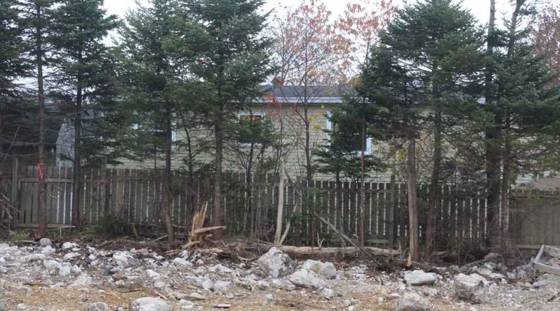 Paradise man may sue Province to stop clearcutting in subdivisions