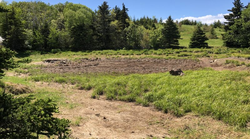 Property owner says potential Frog Pond fix in the works