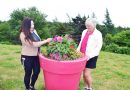 Communities in Bloom judges check out Bay Roberts