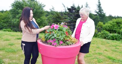 Communities in Bloom judges check out Bay Roberts