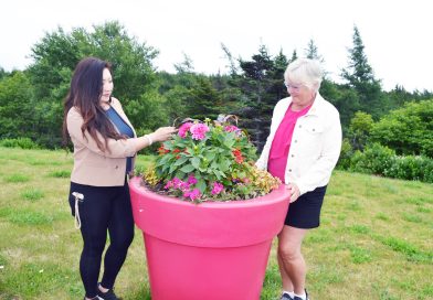 Communities in Bloom judges check out Bay Roberts