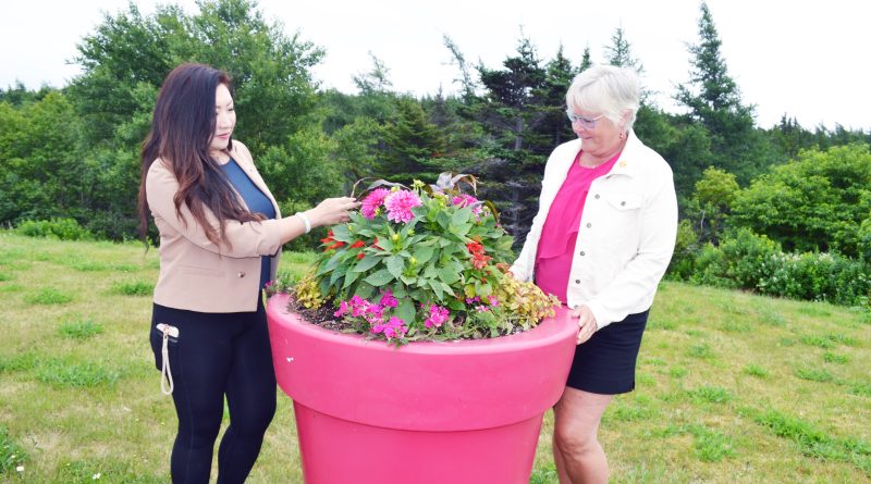 Communities in Bloom judges check out Bay Roberts