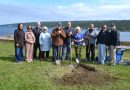 Harbour Grace gifted tree