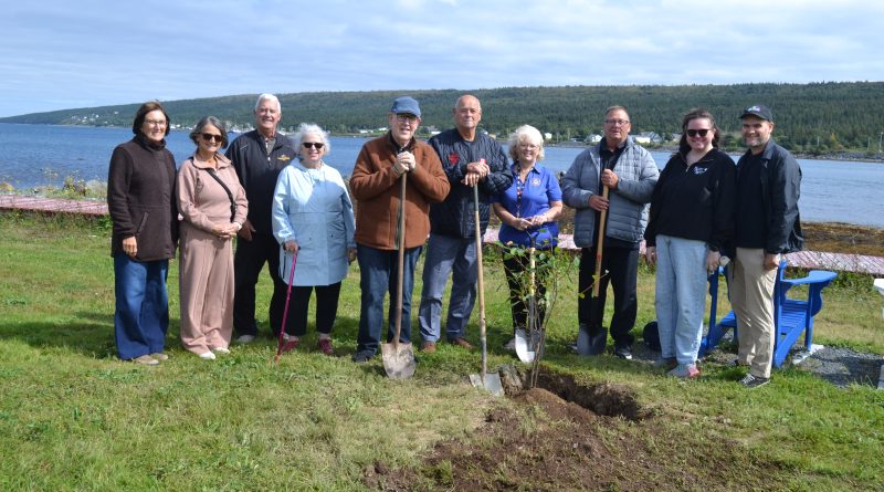 Harbour Grace gifted tree