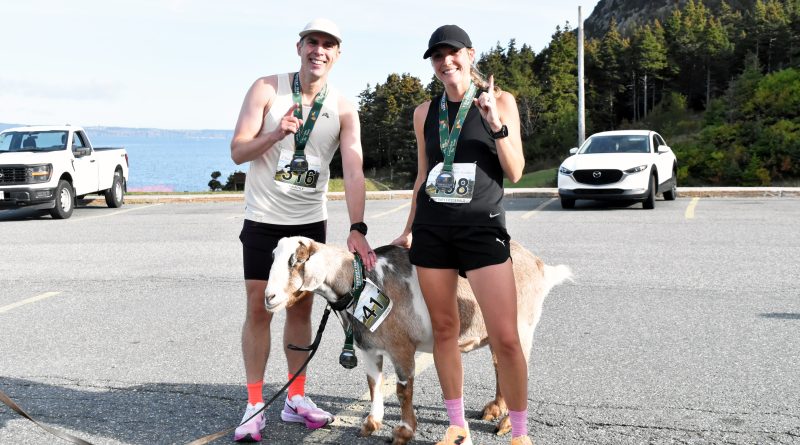 Tog dogs meet the GOAT